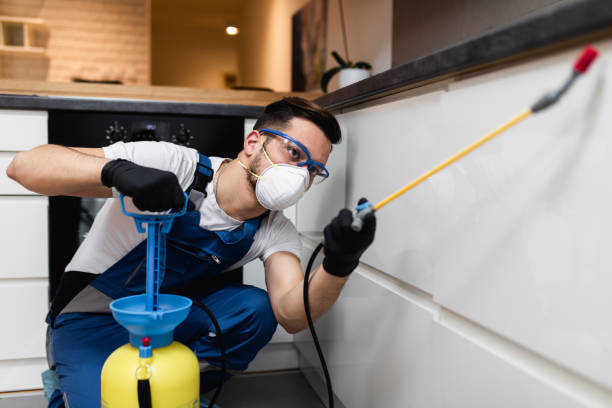 Best Wildlife Control Services  in Westminster, CA
