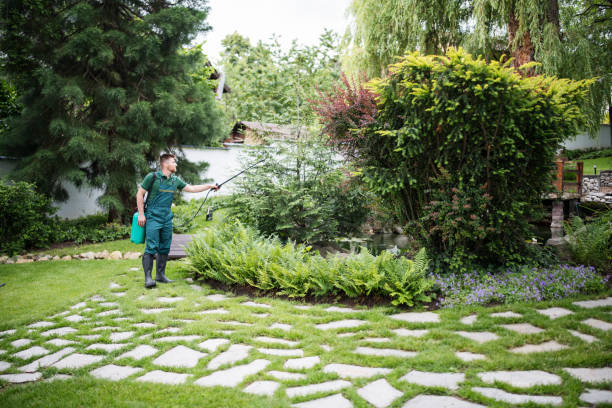 Best Pest Control for Businesses  in Westminster, CA