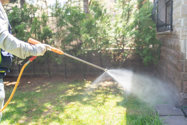 Best Flea Control Services  in Westminster, CA