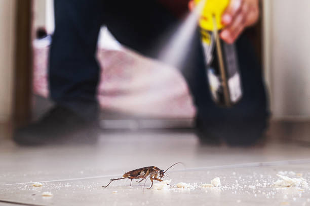 Best Commercial Pest Control Services  in Westminster, CA
