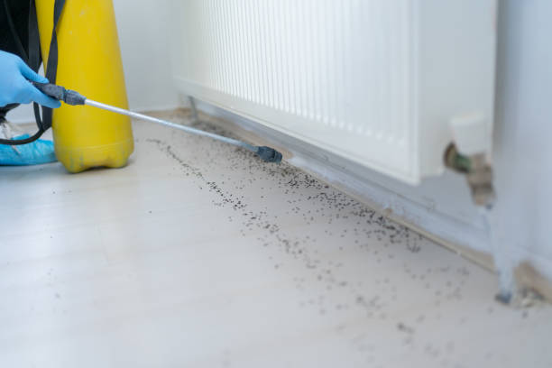 Best Commercial Pest Control Services  in Westminster, CA
